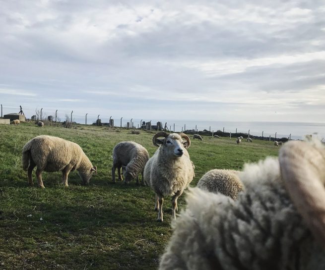 English sea coast holiday